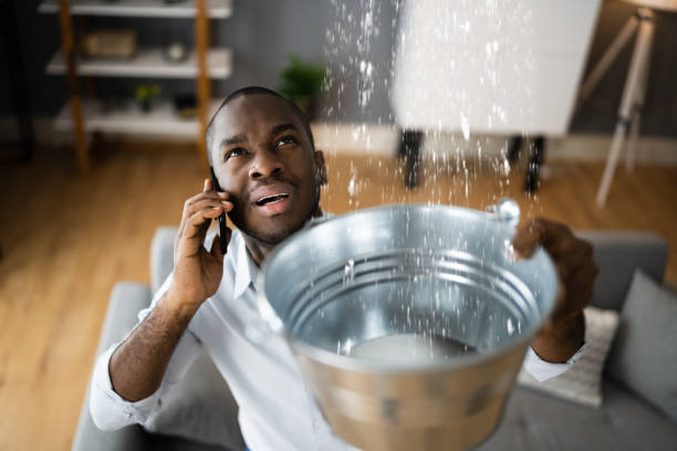  Clinton, MD Water damage restoration Pros