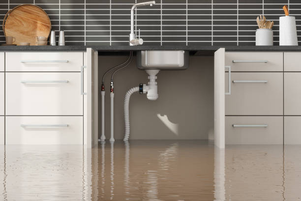 Best Water damage contractors near me  in Clinton, MD